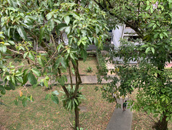 Braddell View (D20), Apartment #253220931